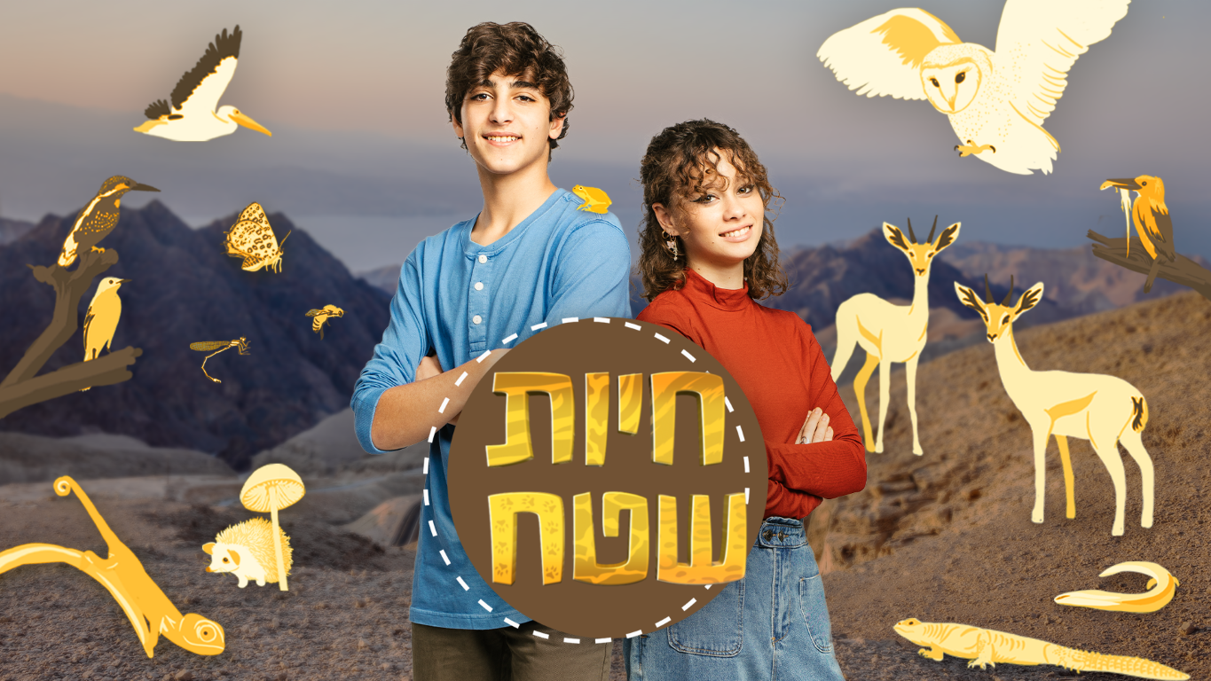 חיות שטח 